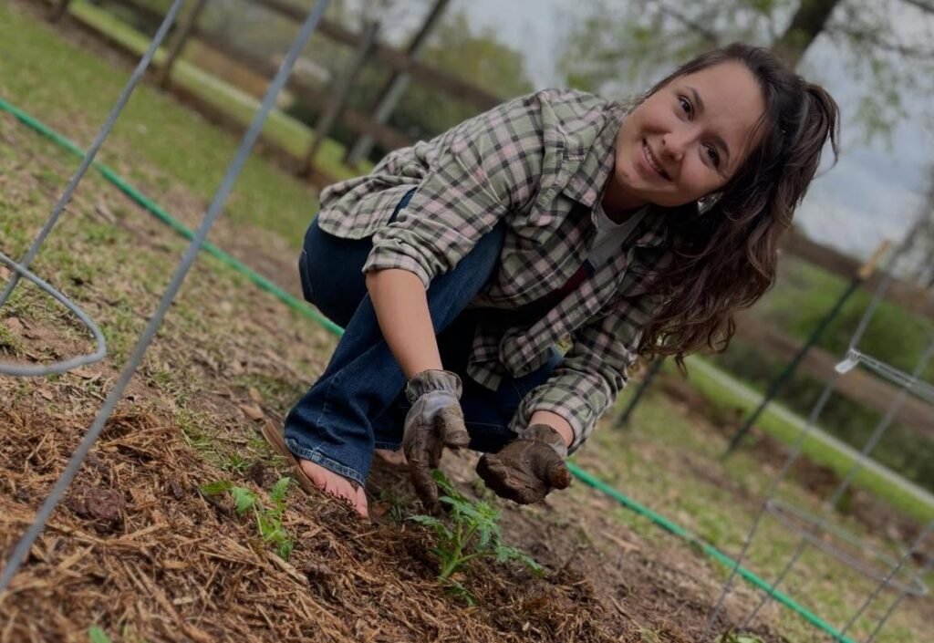 How Does Pickle Wheat Make Money?