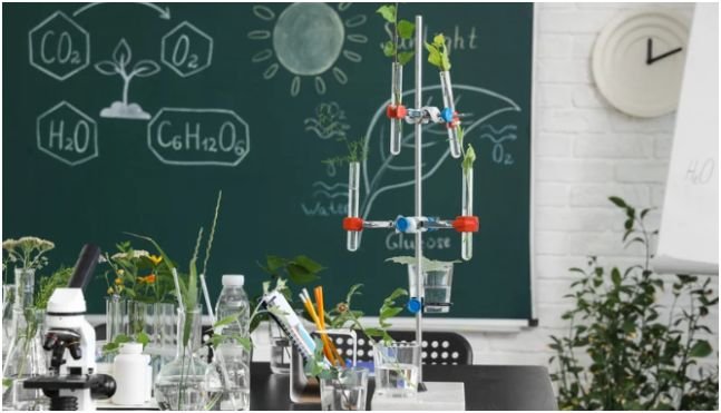 Effective Study Tips for Year 11 Biology