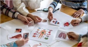 Mastering Year 11 Biology: Key Concepts and Study Tips