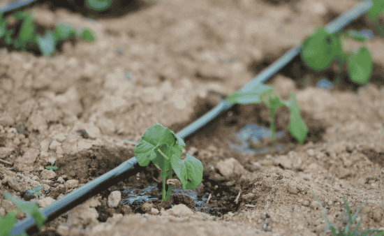 What Good Irrigation Design Actually Starts With