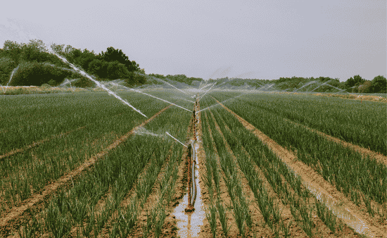 Why Colorado’s Climate Punishes Generic Irrigation Designs